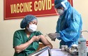 Sáng 3/4, không thêm ca bệnh; hơn 52.000 người Việt Nam đã tiêm vắc xin COVID-19